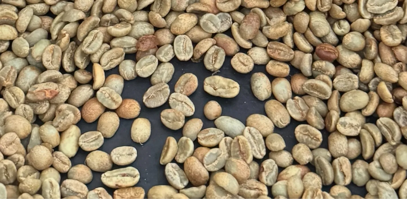 Finding an Artisan Local Roaster